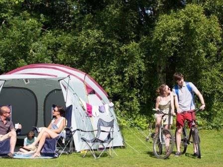Camping at Whitecliff Bay Holiday Park